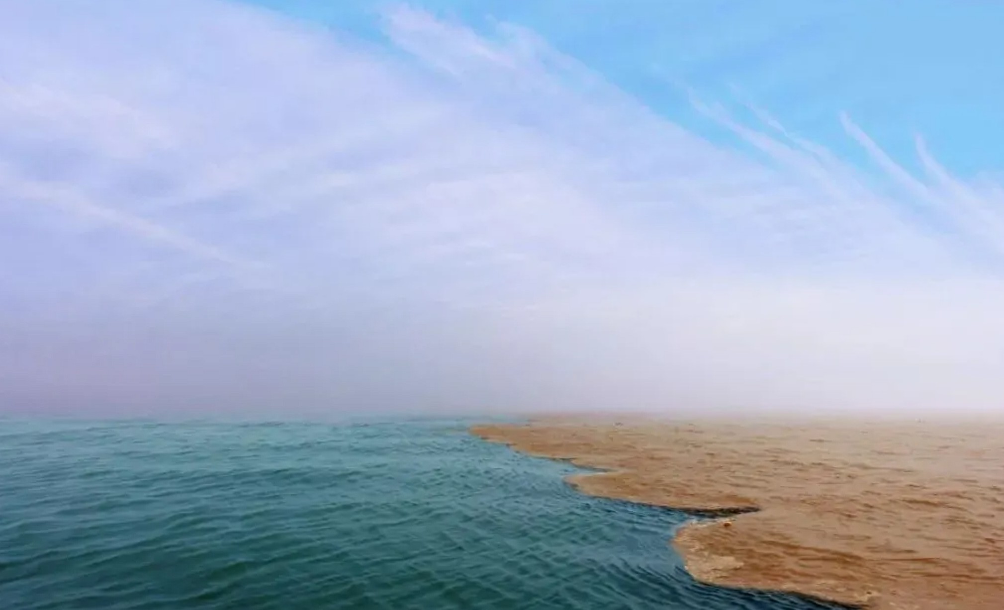 东营黄河口景区：海河交汇的奇观，鸟类国际机场，度假、观鸟的理想场所