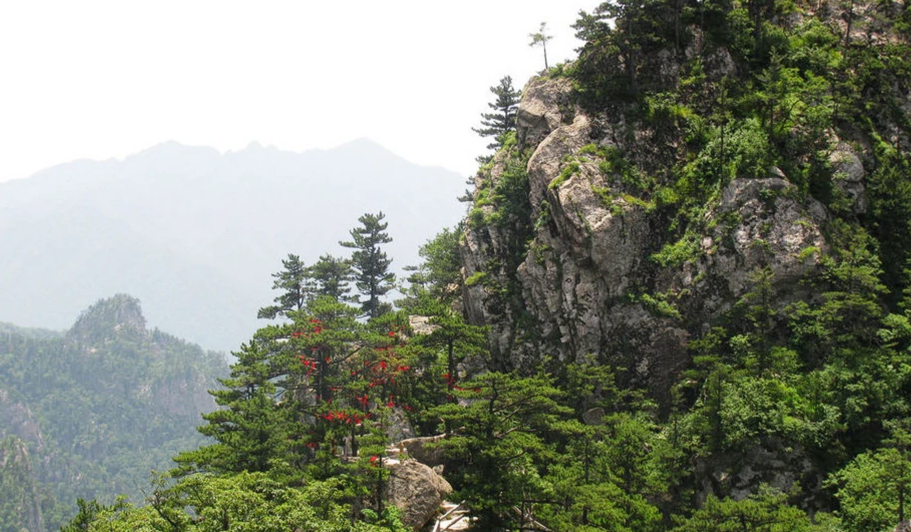 老界岭：分水岭游览区、仙人峰游览区和避暑山庄度假区