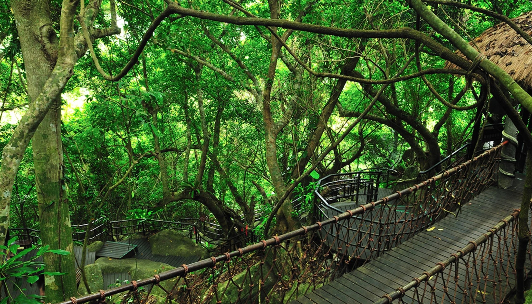 呀诺达雨林文化旅游区：集热带雨林、峡谷奇观、流泉叠瀑等多种旅游资源于一身